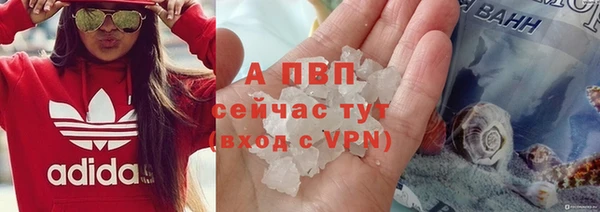 шишки Лагань