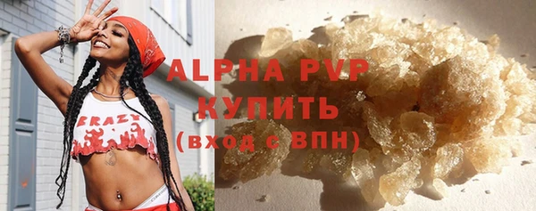 шишки Лагань