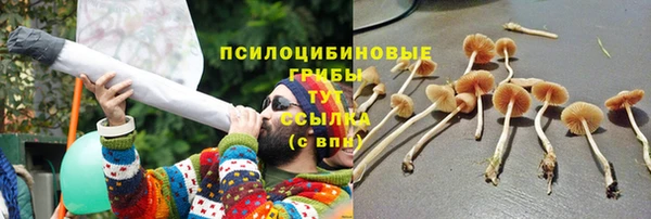 шишки Лагань