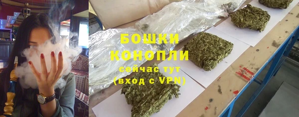 шишки Лагань